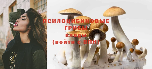 прущие крисы Алексин