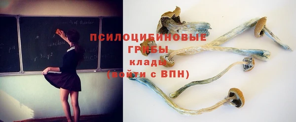 амфетамин Алексеевка