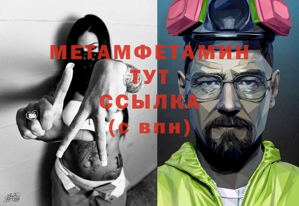 сатива Ростов