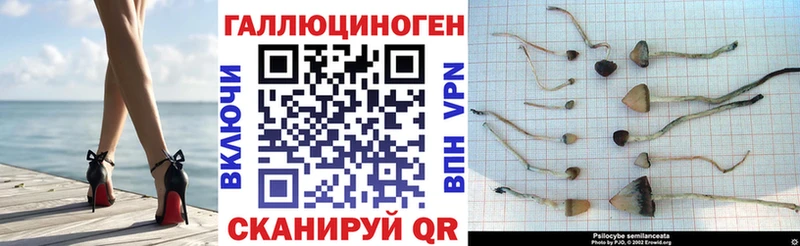Псилоцибиновые грибы Cubensis  Котельнич 