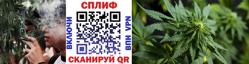как найти наркотики  Котельнич  Бошки марихуана VHQ 